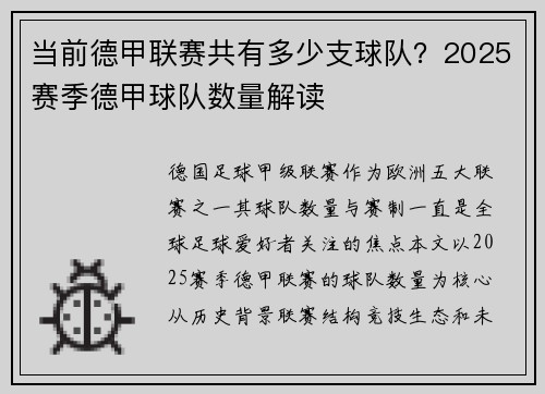 当前德甲联赛共有多少支球队？2025赛季德甲球队数量解读